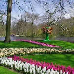 https://bed-and-breakfast-ineke-en-john.ihotelsrotterdam.com
